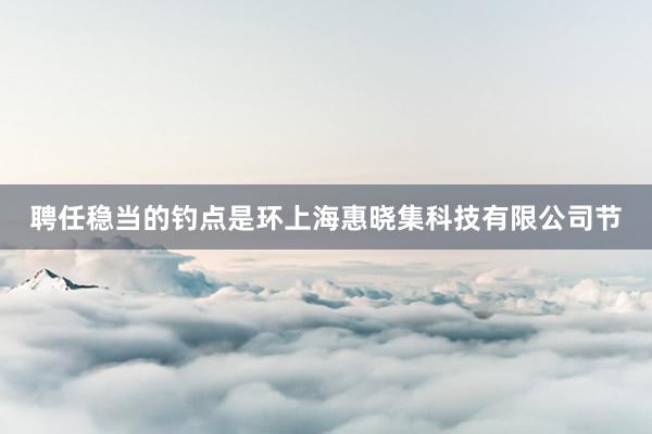 聘任稳当的钓点是环上海惠晓集科技有限公司节