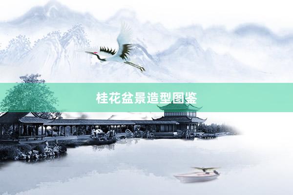 桂花盆景造型图鉴